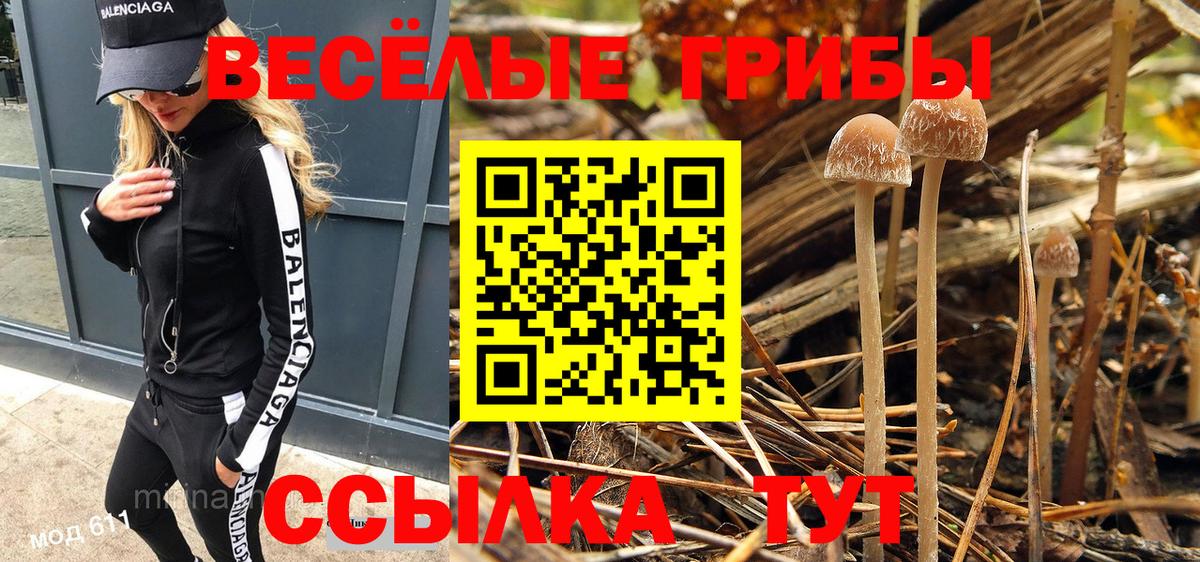 купить наркоту  Вход с VPN  Галлюциногенные грибы Psilocybine cubensis  Родники  Псилоцибиновые грибы Cubensis 