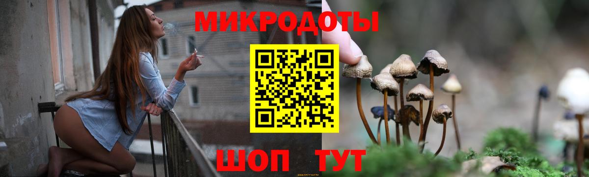 Галлюциногенные грибы MAGIC MUSHROOMS Родники